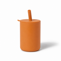 Transition Silicone Cup - Pumpkin Spice