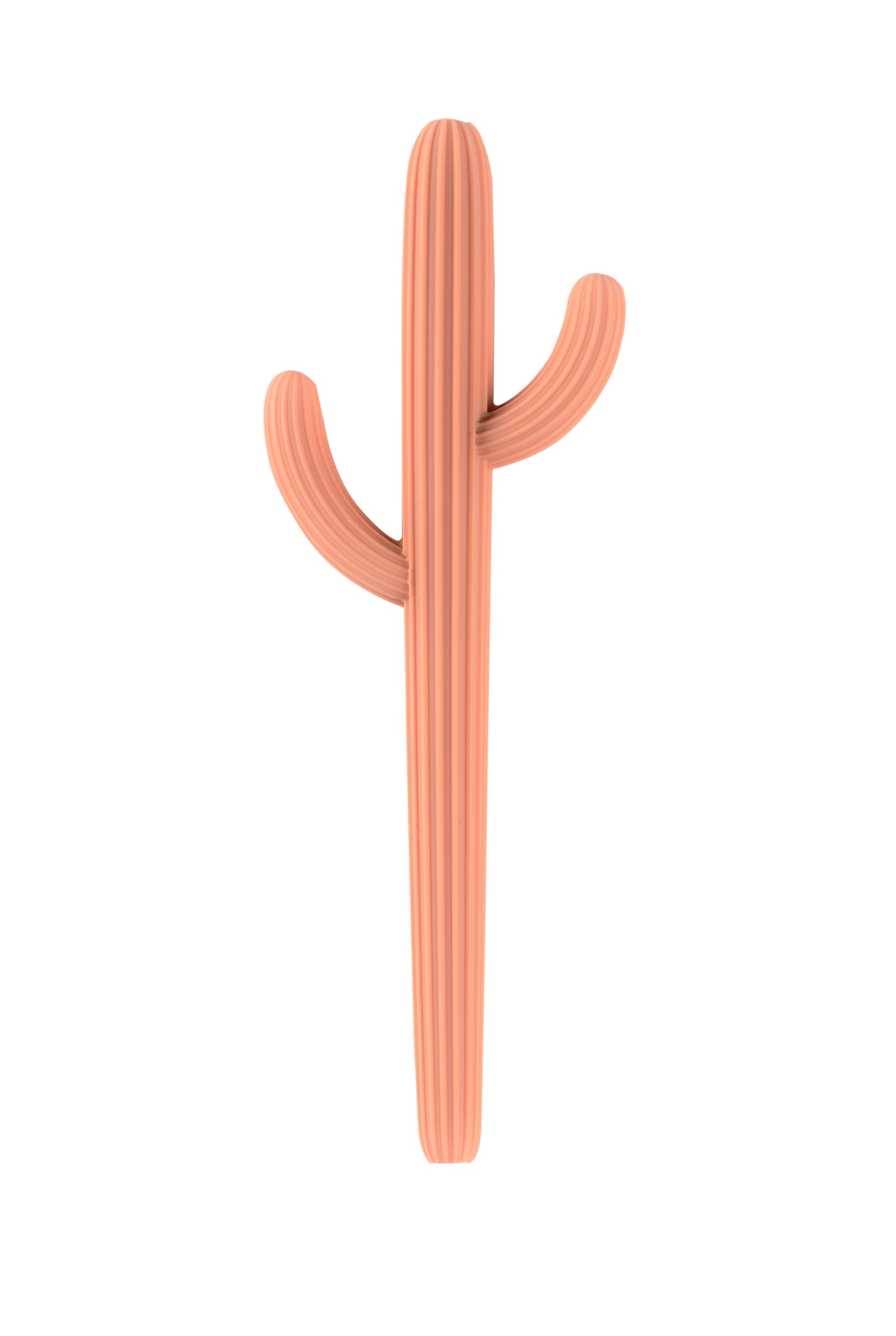 Cactus Silicone Teether