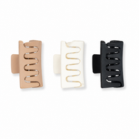 Mini Claw Clips Set