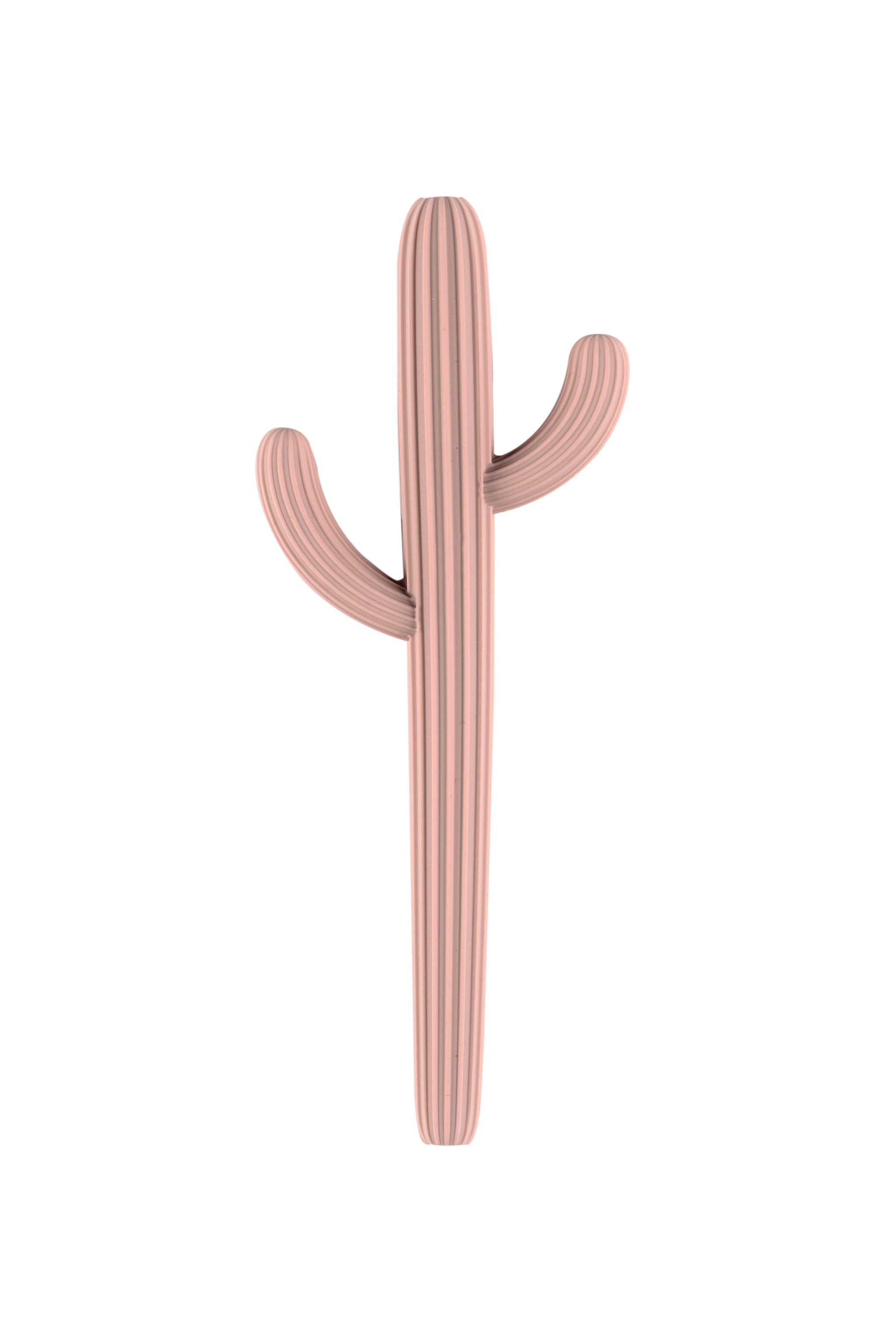 Cactus Silicone Teether