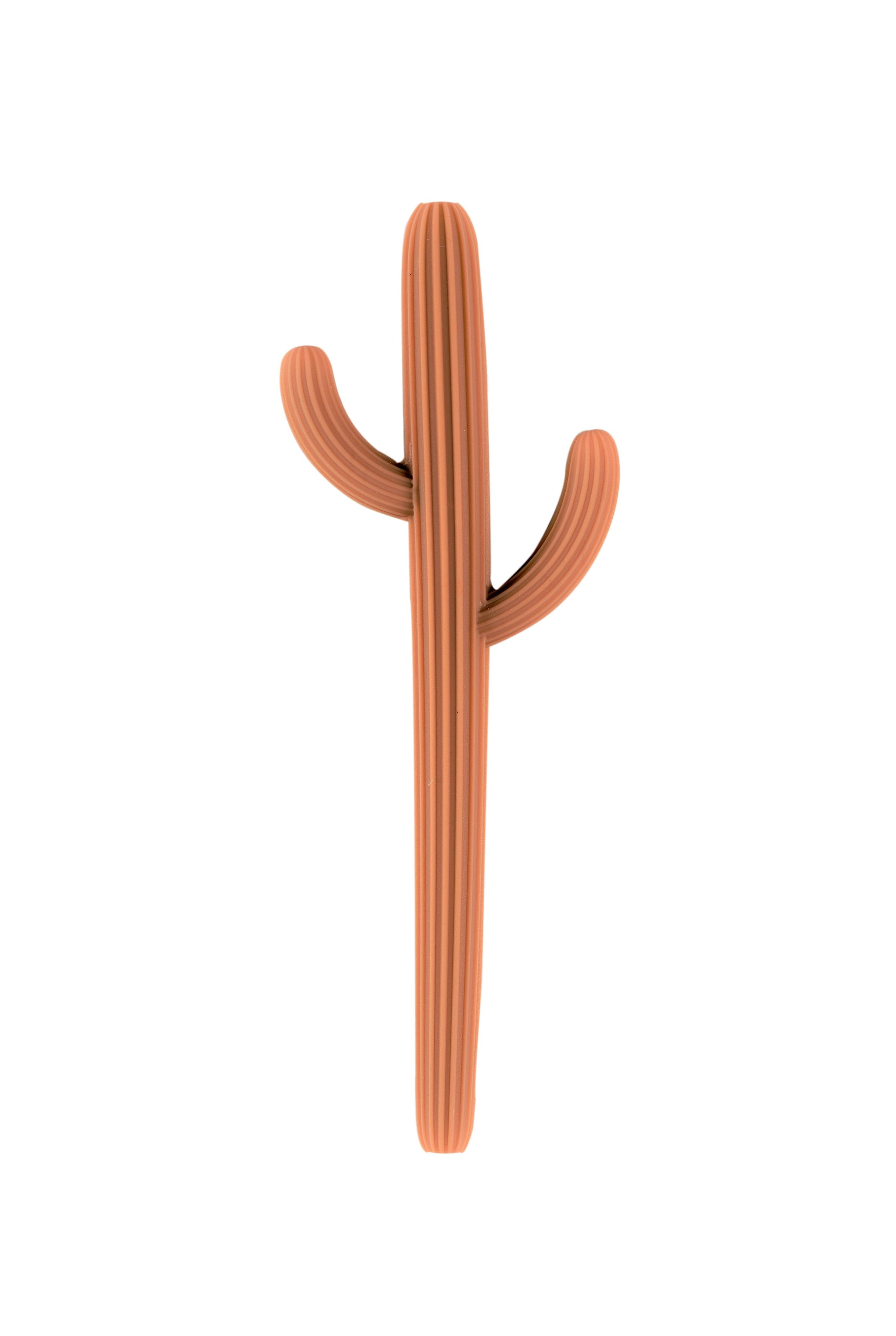 Cactus Silicone Teether